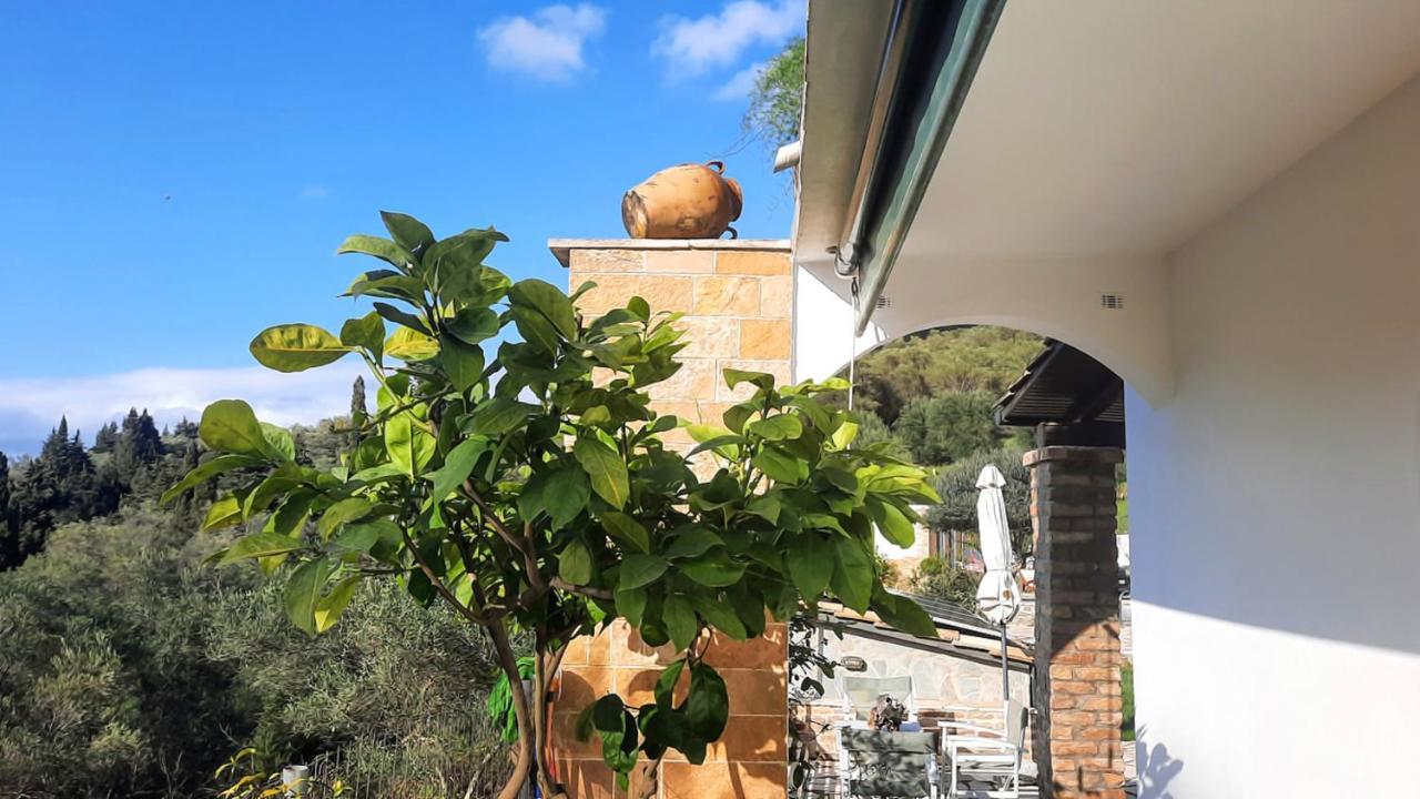 Villa Claire Corfu Achilleion Exterior photo